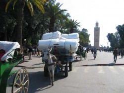 Marrakech