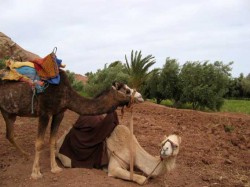 Aït Benhaddou
