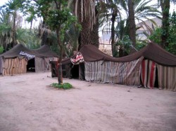 Oasis du Fint