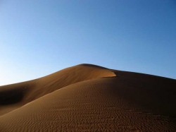 Les dunes le matin