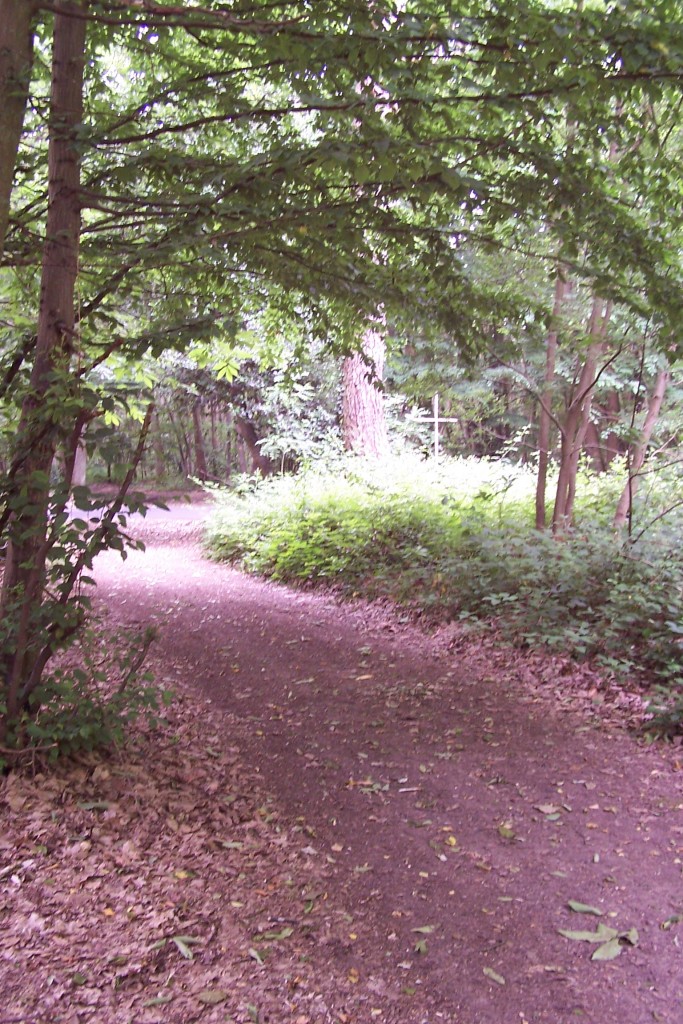 La boue du Vexin