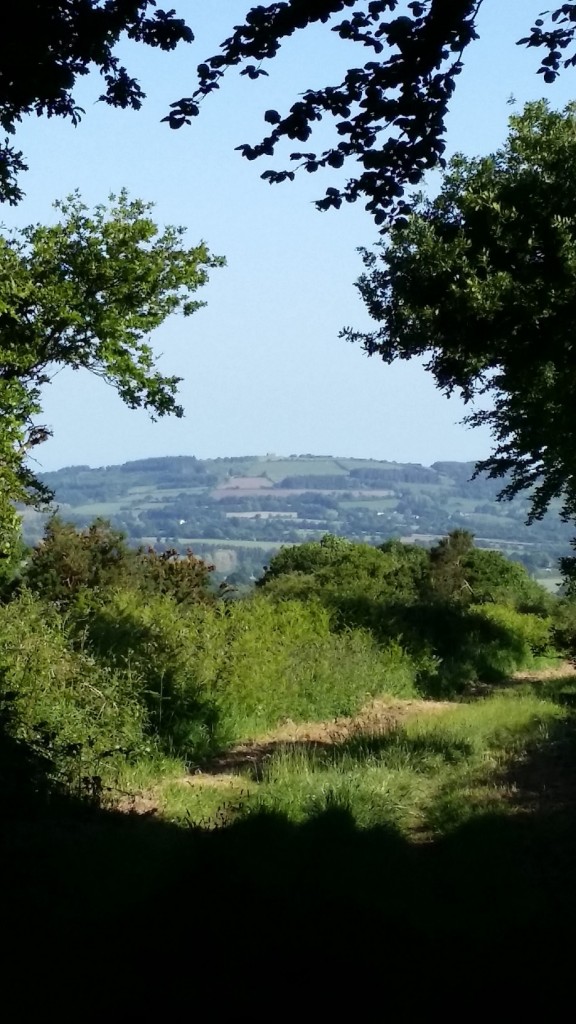Circuit des 2 Menez
