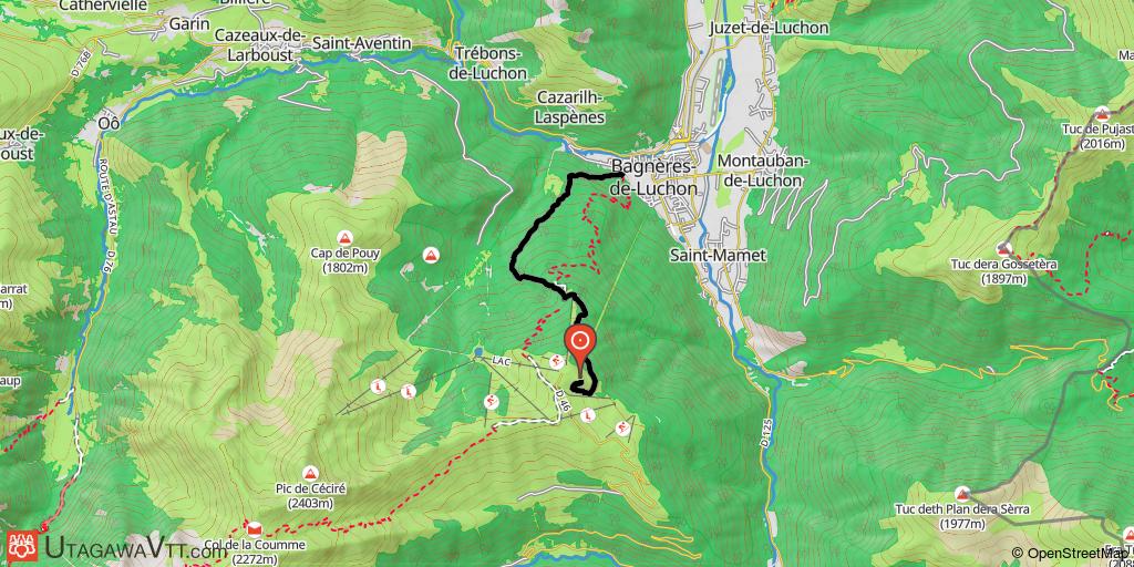 Luchon-DH / Guêpe