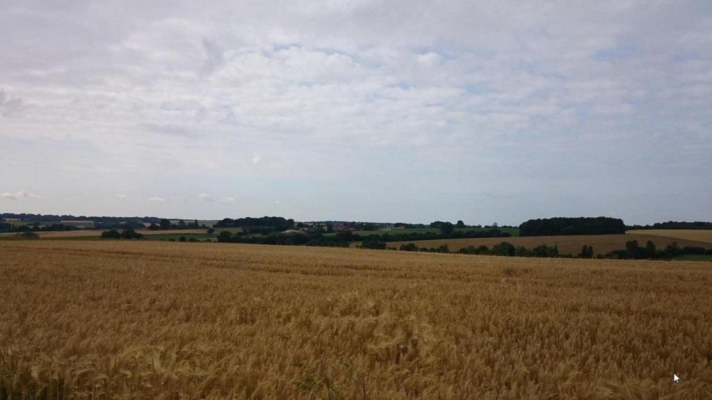 Rando de Pellevoisin 2015 - 46 km