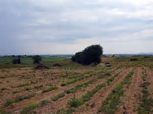 Pollestres - Circuit N°1 - Tour des vignes