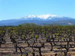 Pollestres - Circuit N°3 - Tour des mas catalans