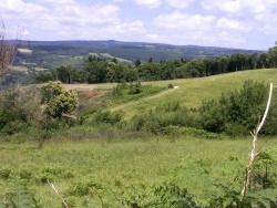 Début de la Montée