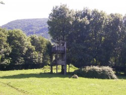 Afut de Chasseurs sur la Rentrée