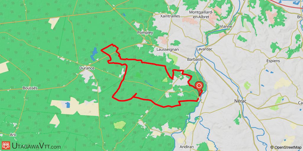 Boucle dans la forêt des Landes