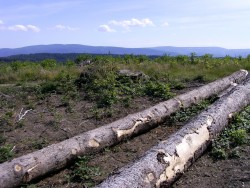 Vue de la Montagne Noire (Pic de Nore au centre)