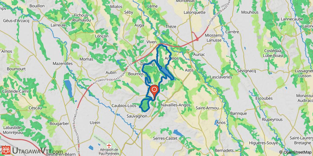 Sauvagnon - Argelos