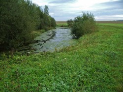 Marais de Vivaise