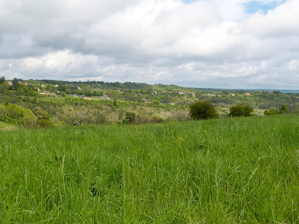 Espace Lascaux - Dordogne - Parcours N° 6 : Le tour de Rouffignac