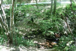 Passage du ruisseau au début de la première descente (13.5Km du départ)