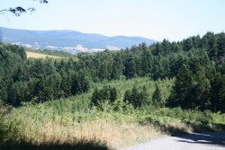 Au loin, le PIC de NORE (Alt: 1210m)