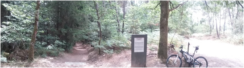 Dans les Saulières