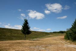 Sous le barrage de Laprade Basse