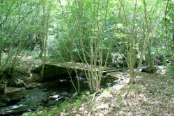 Petit pont sur l'Orbiel (affluent de l'Aude)