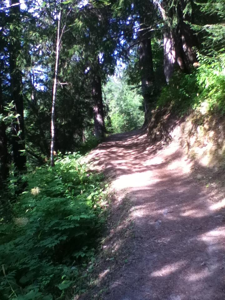 Chamonix - Charamillon