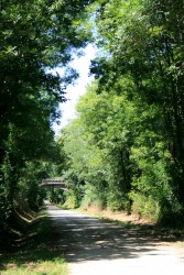 La voie Verte (Ancienne voie ferrée)
