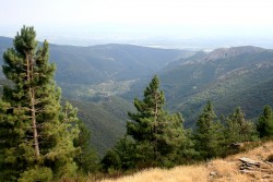 Vallée de CABRESPINE (Aude) Pyrénées au fond par beau temps