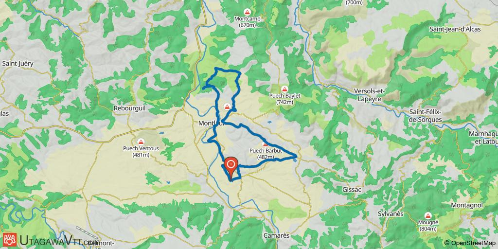Rougier de Camarès