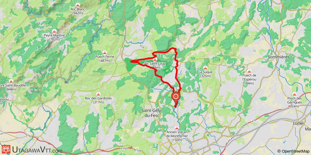 Tour du Pic Saint Loup