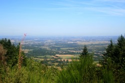 Vue sur la plaine de Labruguière