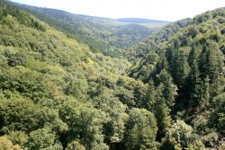 L'omniprésente forêt (gérée par l'ONF)