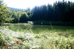 Petite retenue sur le ruisseau du Montimont (ici commence la descente)