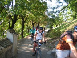 VTT-398