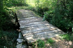 Après Augmontel, pont très glissant si mouillé