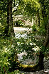 Pont sur la Durenque à Valdurenque