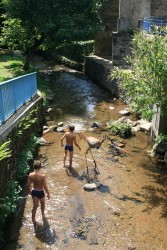 La Durenque à Cambounès (été)