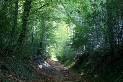 joli chemin à la sortie du Bouisset, à partir de là ça va être du régal