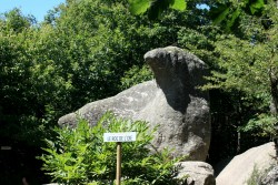 Roc de l'Oie (de là accès aux Trois Fromages)