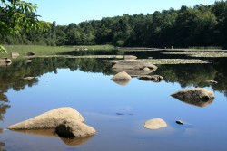 Lac du merle et ses Hippopotames en granit (nénuphars en été)