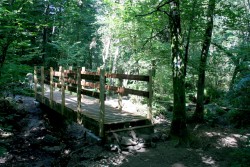 Pont au Lac du Merle
