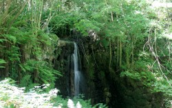Dans votre montée à 600m vous serez bercés par le bruit de l'eau