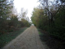 VTT-410