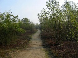 VTT-423