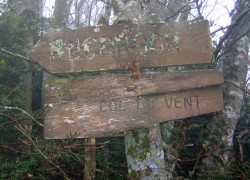 ET DU LICHEN