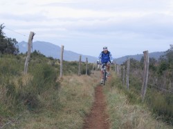 RIDER