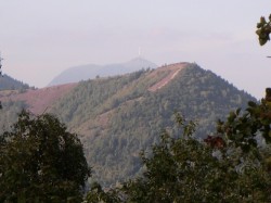 VTT-6256
