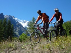 VTT-6273