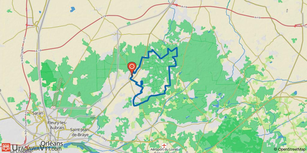 Marathon VTT en forêt d'Orléans