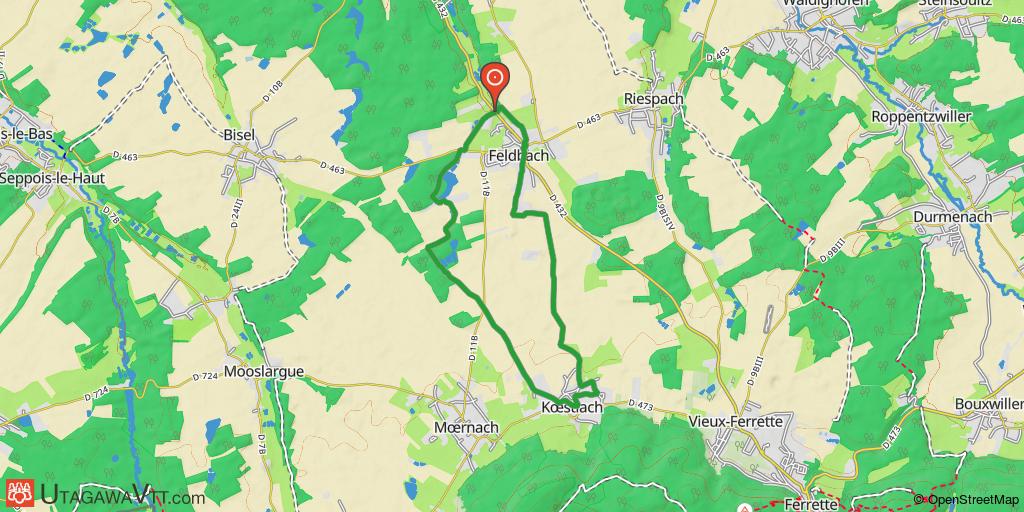 Domaine VTT Sundgau - Sud Alsace : Le chemin de St Jacques