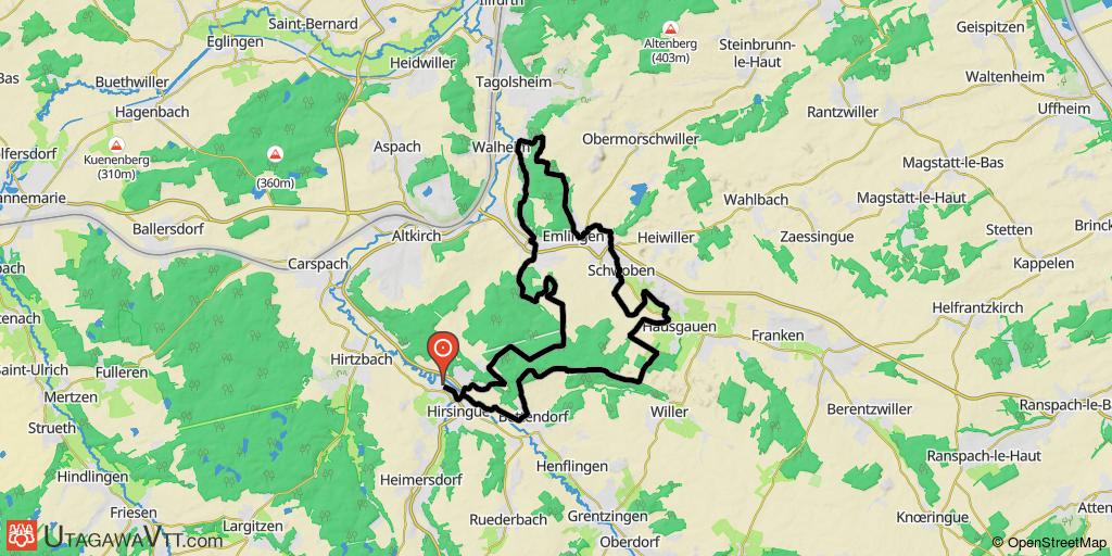 Domaine VTT Sundgau - Sud Alsace : La forêt du Talrain