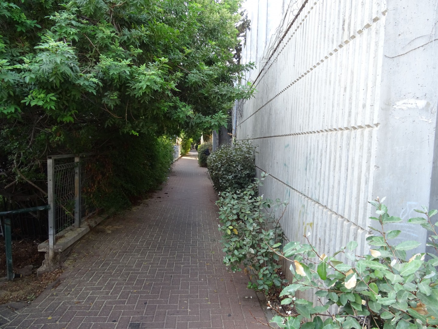 Tel Aviv - Yarkon 2018 - 74 km