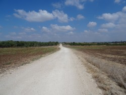 VTT-13583